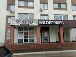 Wildberries (Lenina Street, 51), point of delivery