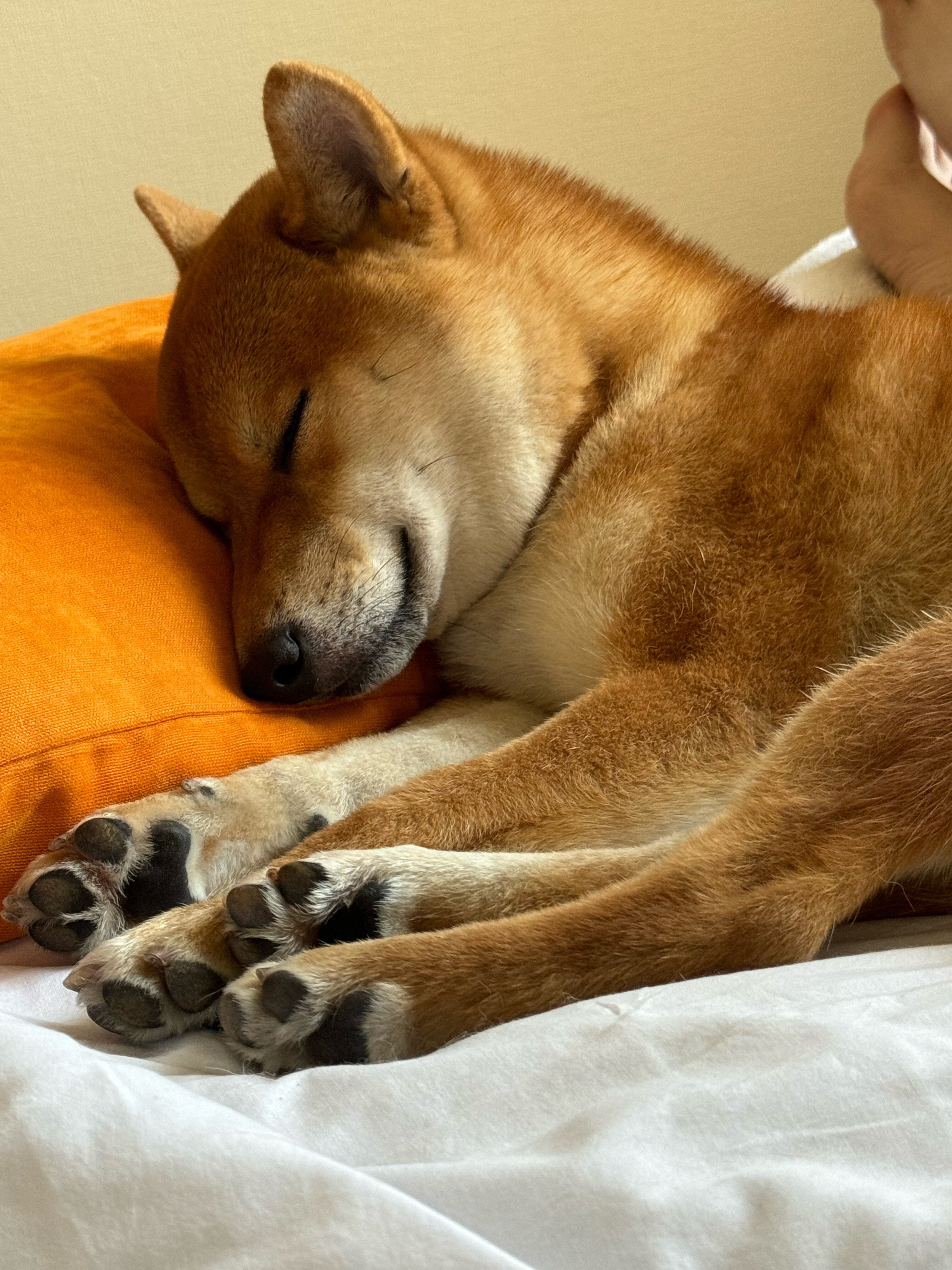 Фото Уют-Парк