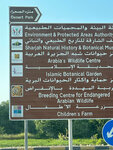 Sharjah Natural History & Botanical Museum (171/2, Al Dhad Road, Sharjah), museum