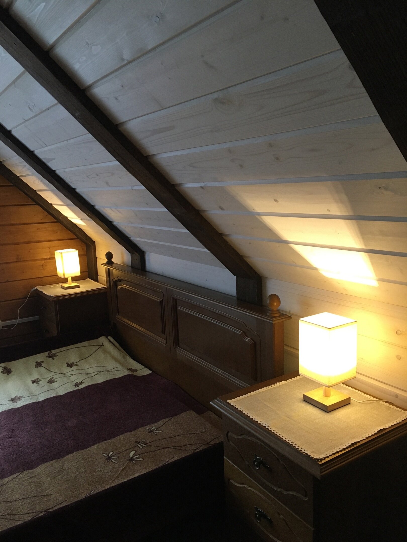 Фото Елки-палки