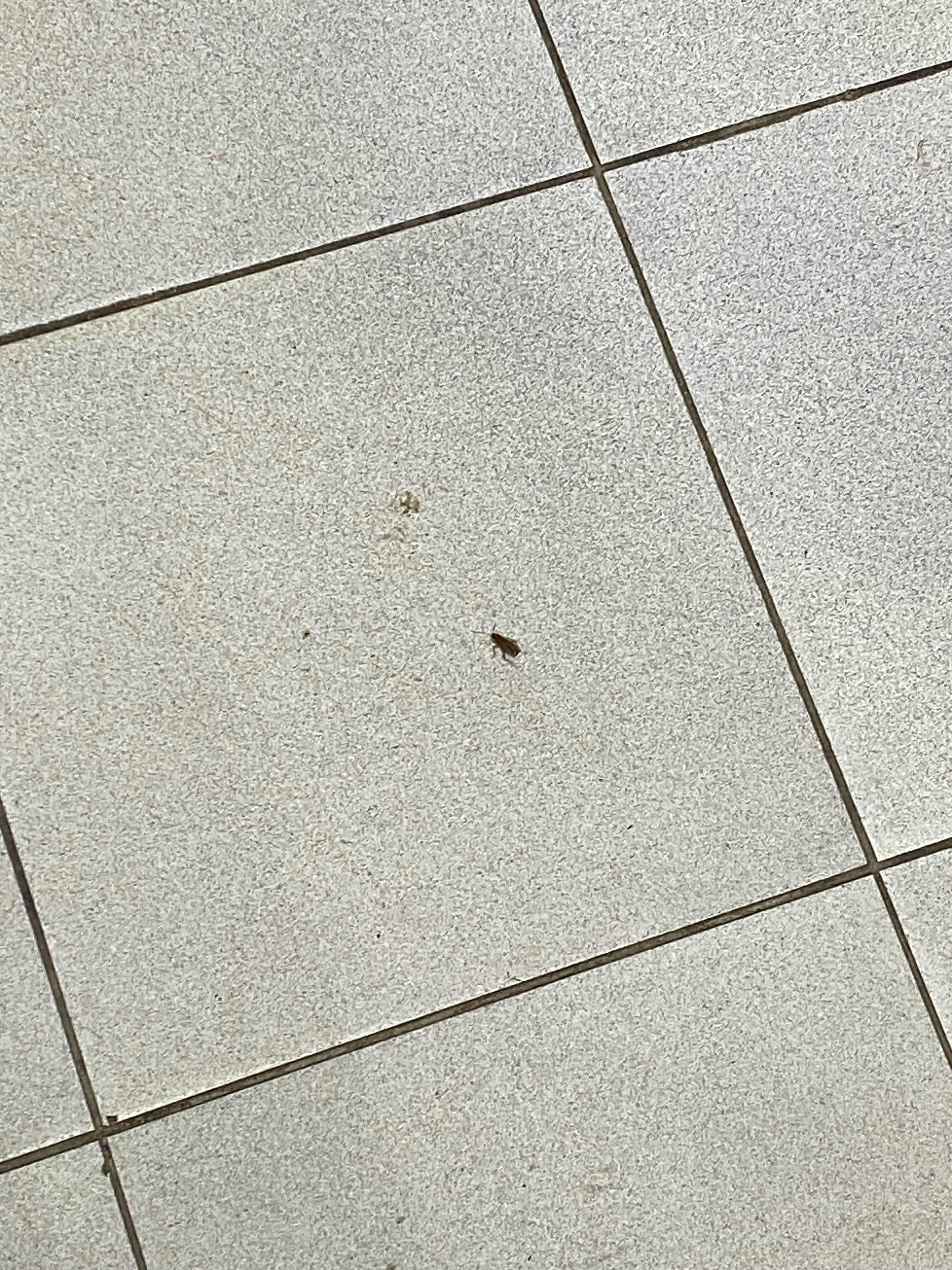 Фото Виктория