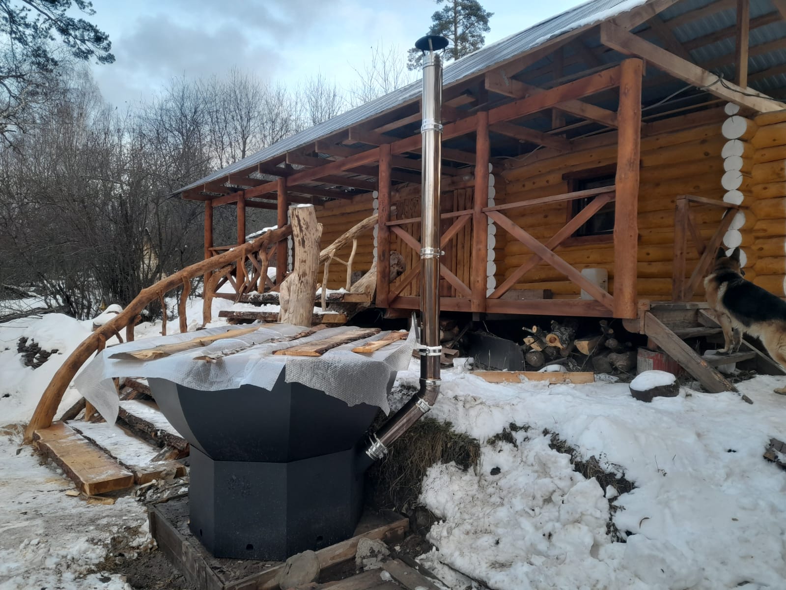 Фото Львиное сердце