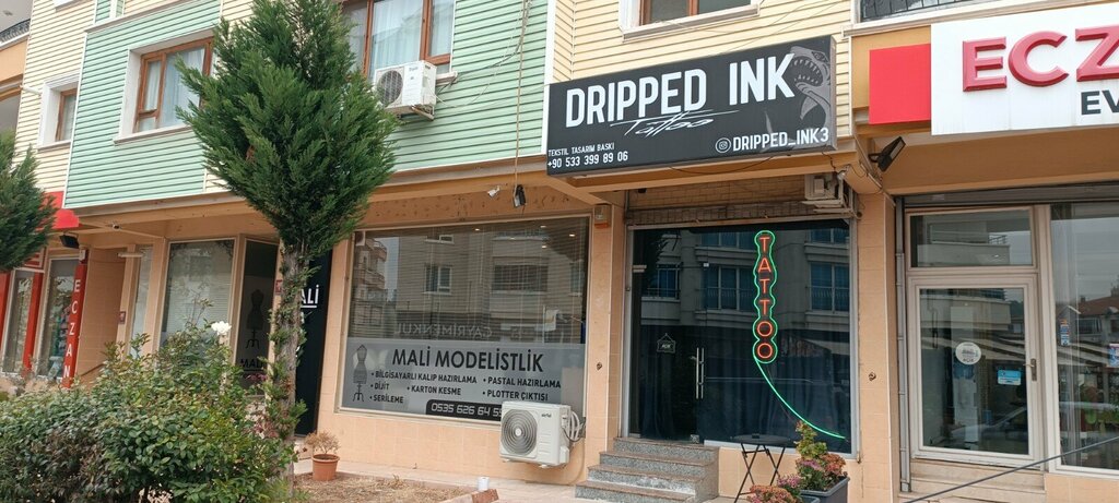 Tattoo studio Dripped İnk, Ankara, photo