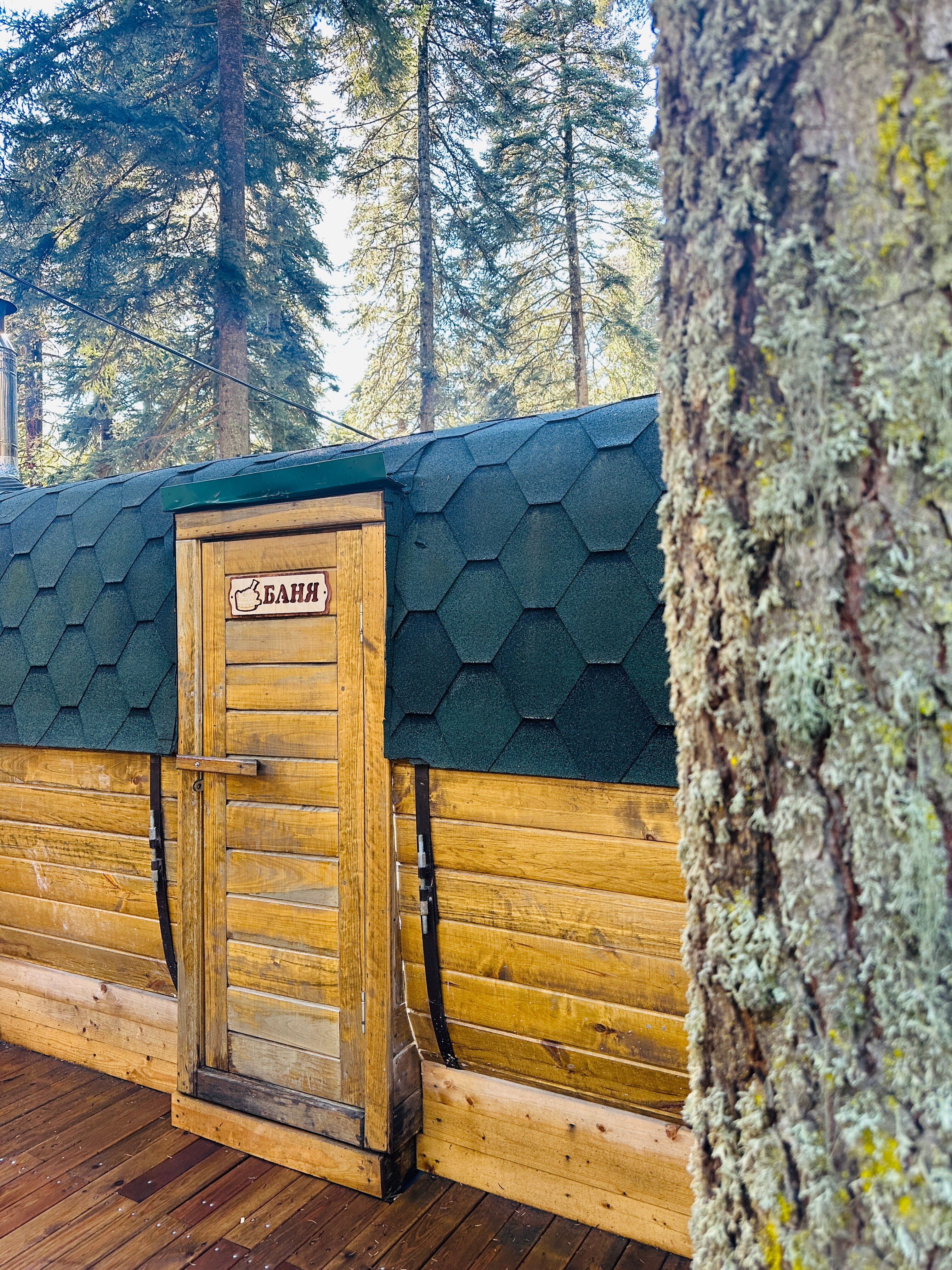 Фото Пихтовый парк