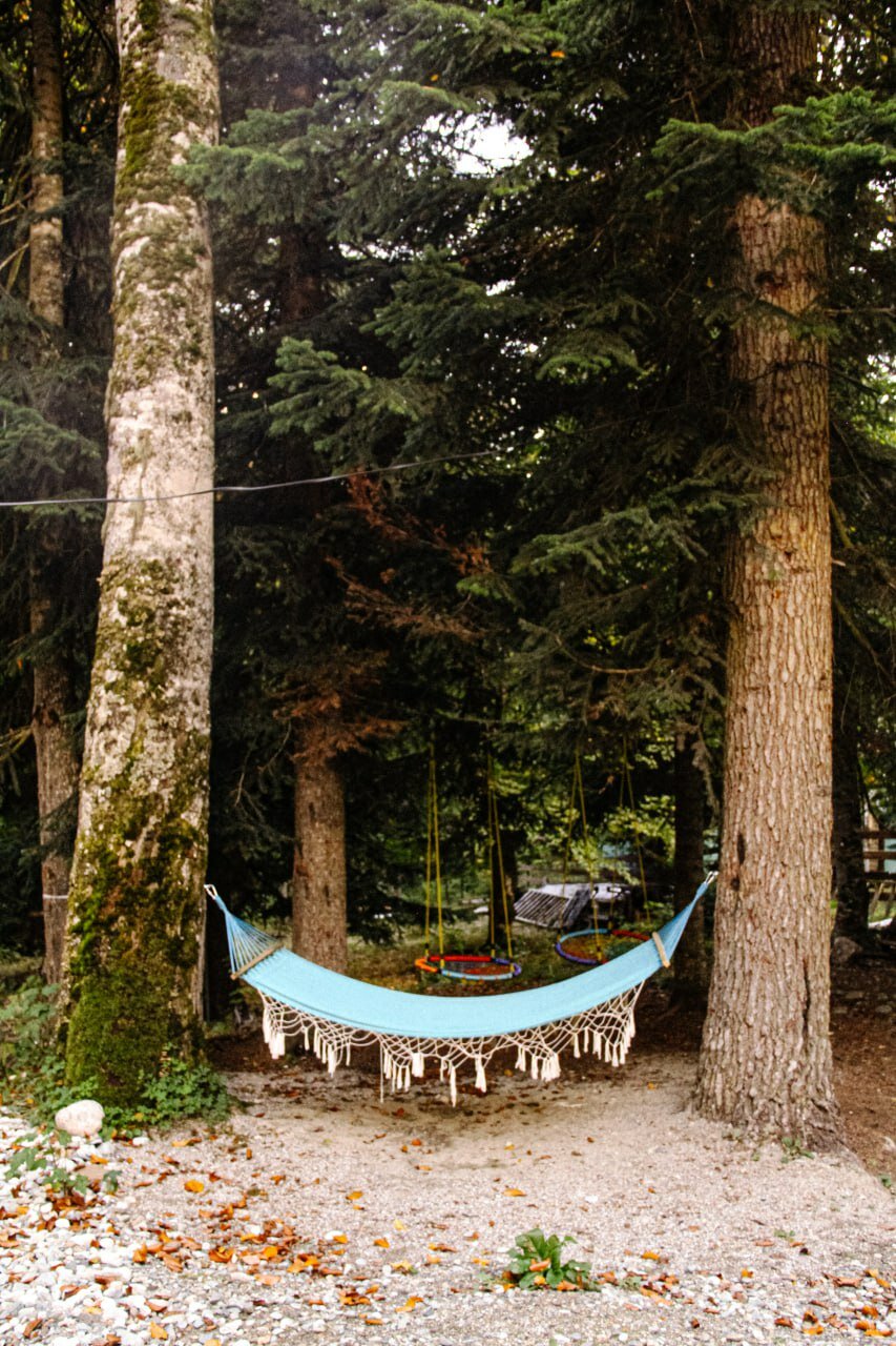 Фото Брусника