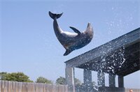 Фото Holiday Inn Resort Panama City Beach, an Ihg Hotel