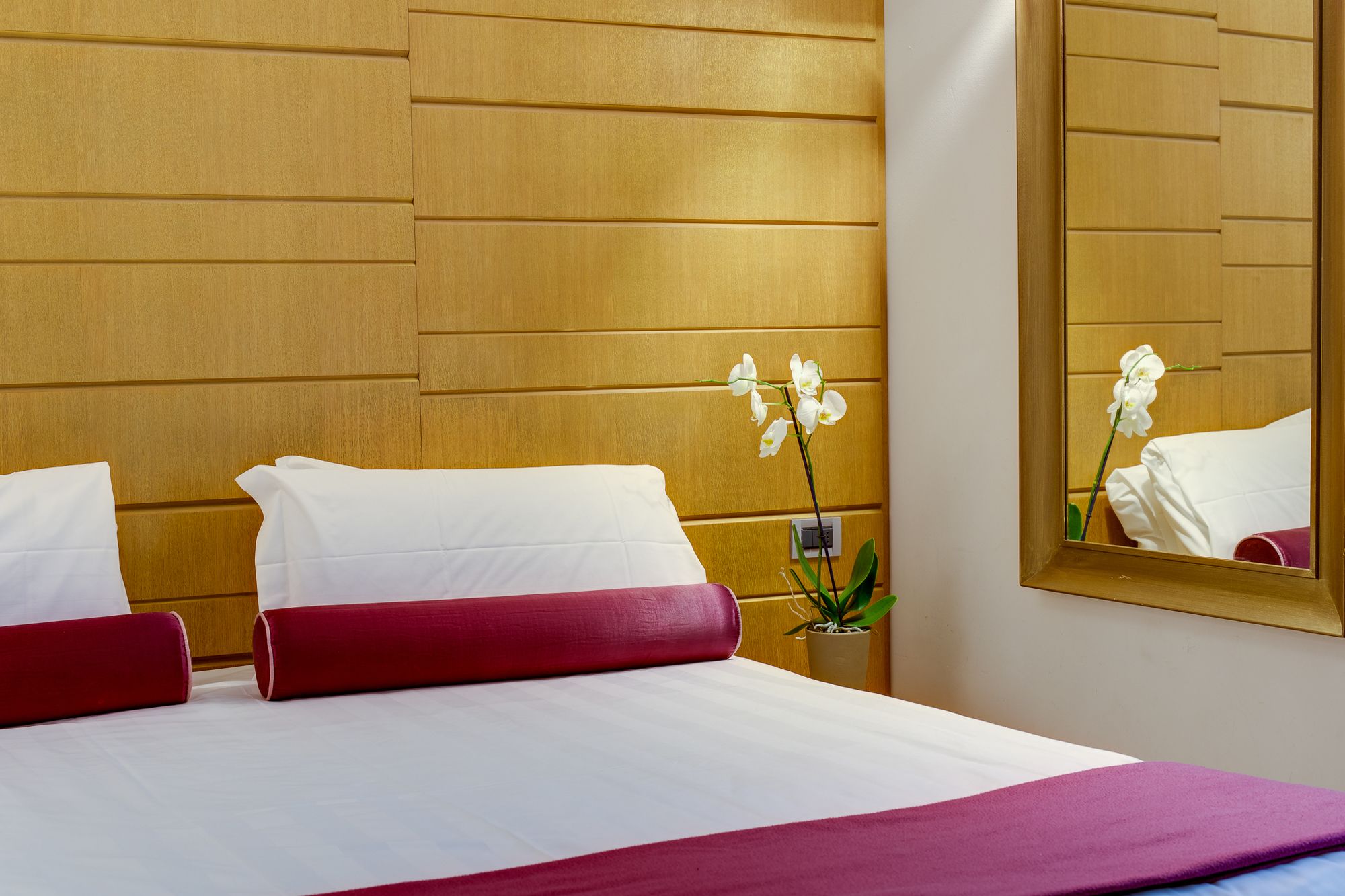 Фото Solo Experience Hotel