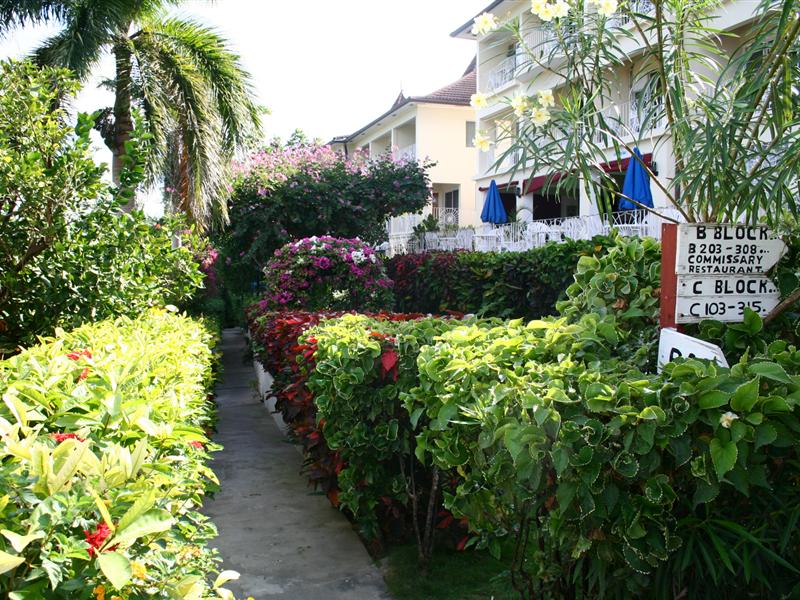 Фото Relax Resort