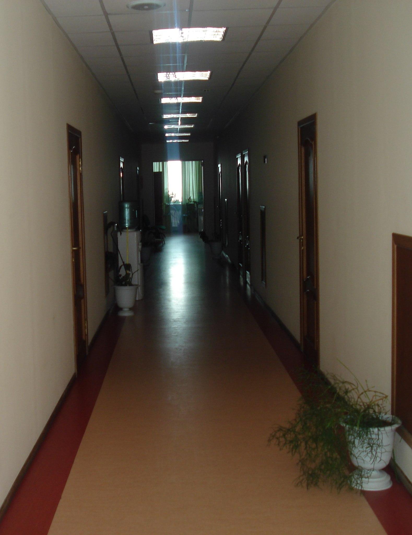 Фото Нивские Берега