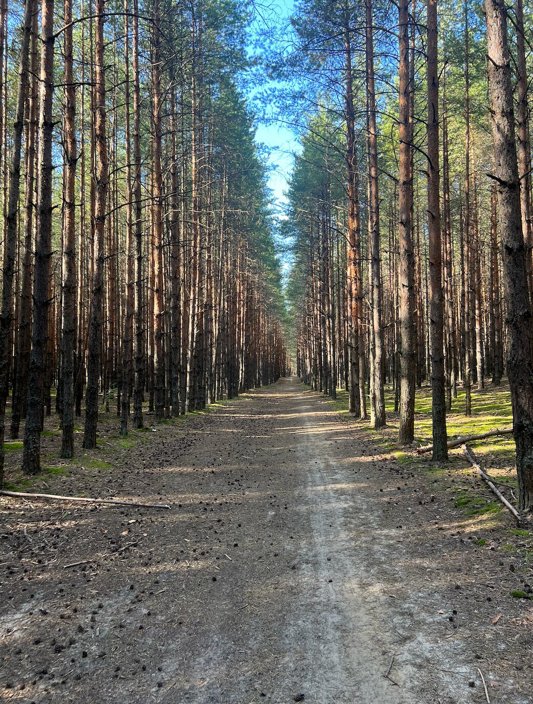 Фото Сусанин парк