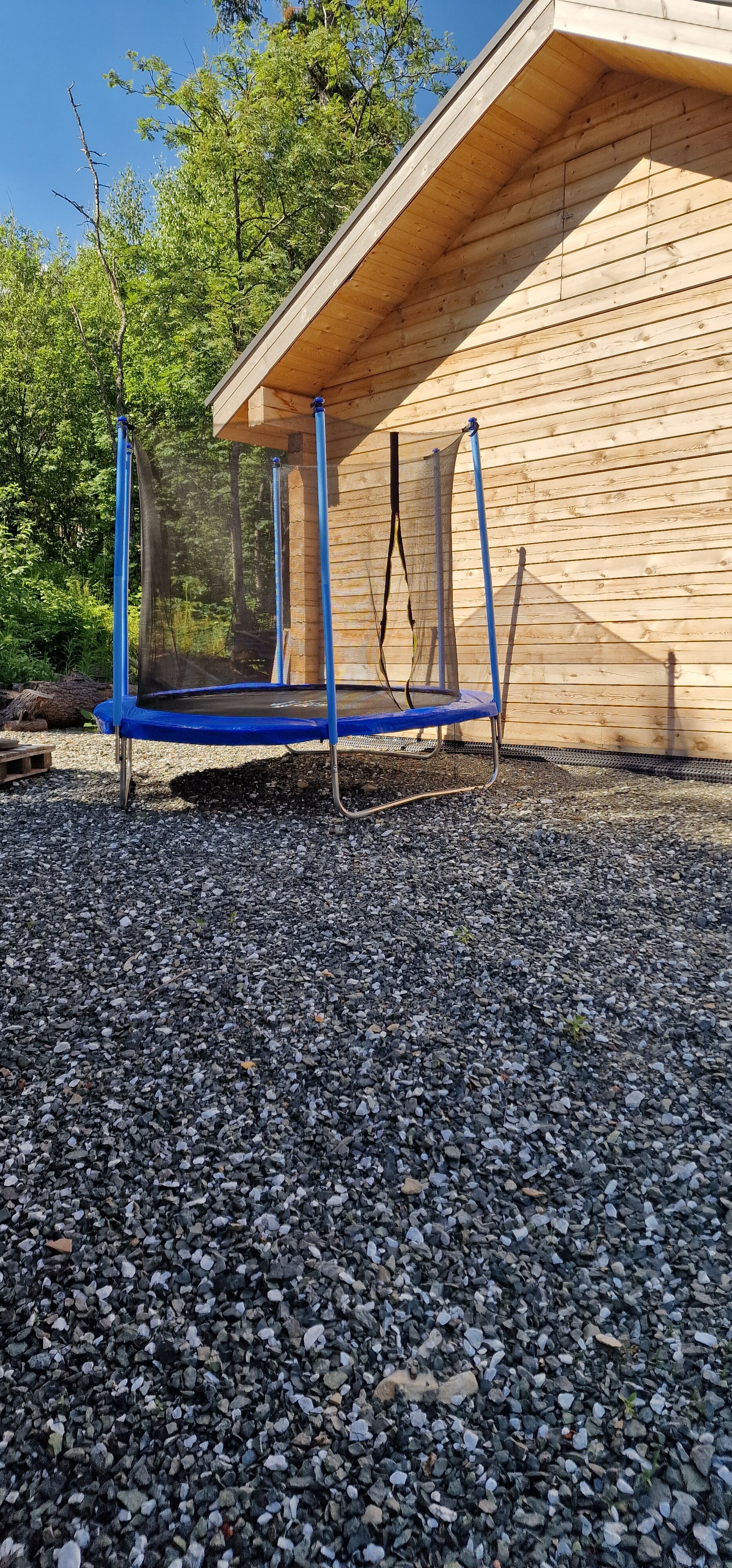 Фото Еловый лис