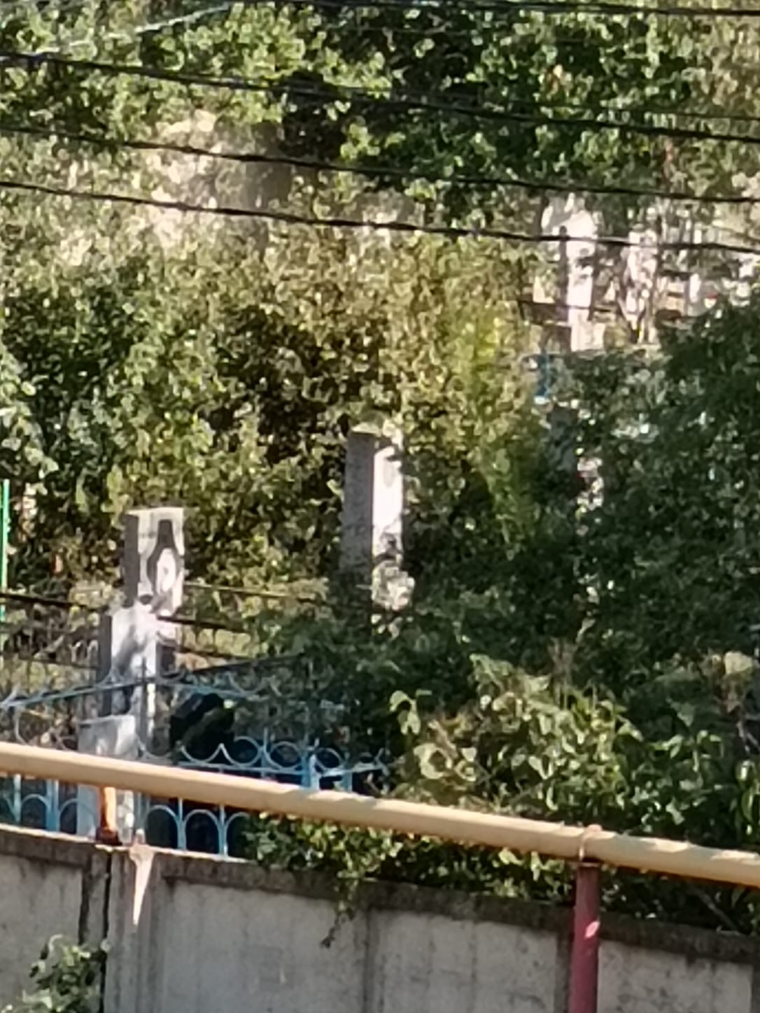 Фото Дворянское гнездо