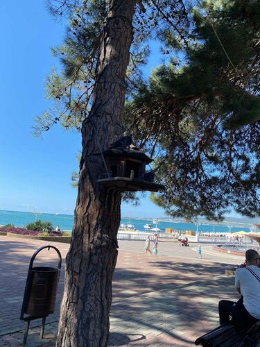 Гостиница Ника в Геленджике