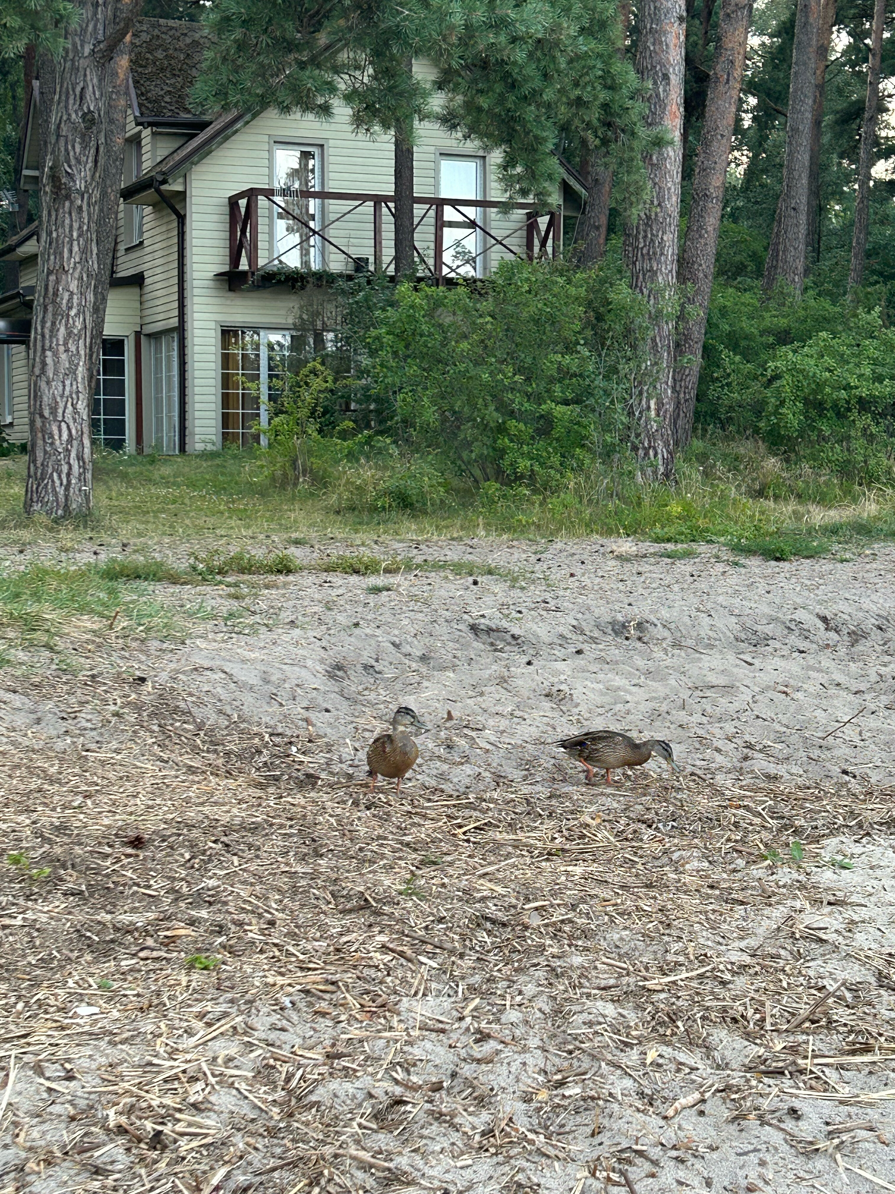 Фото ВитТех