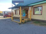 Пивная лавка (Kurgan, ulitsa Zemnukhova, 5А), beer shop