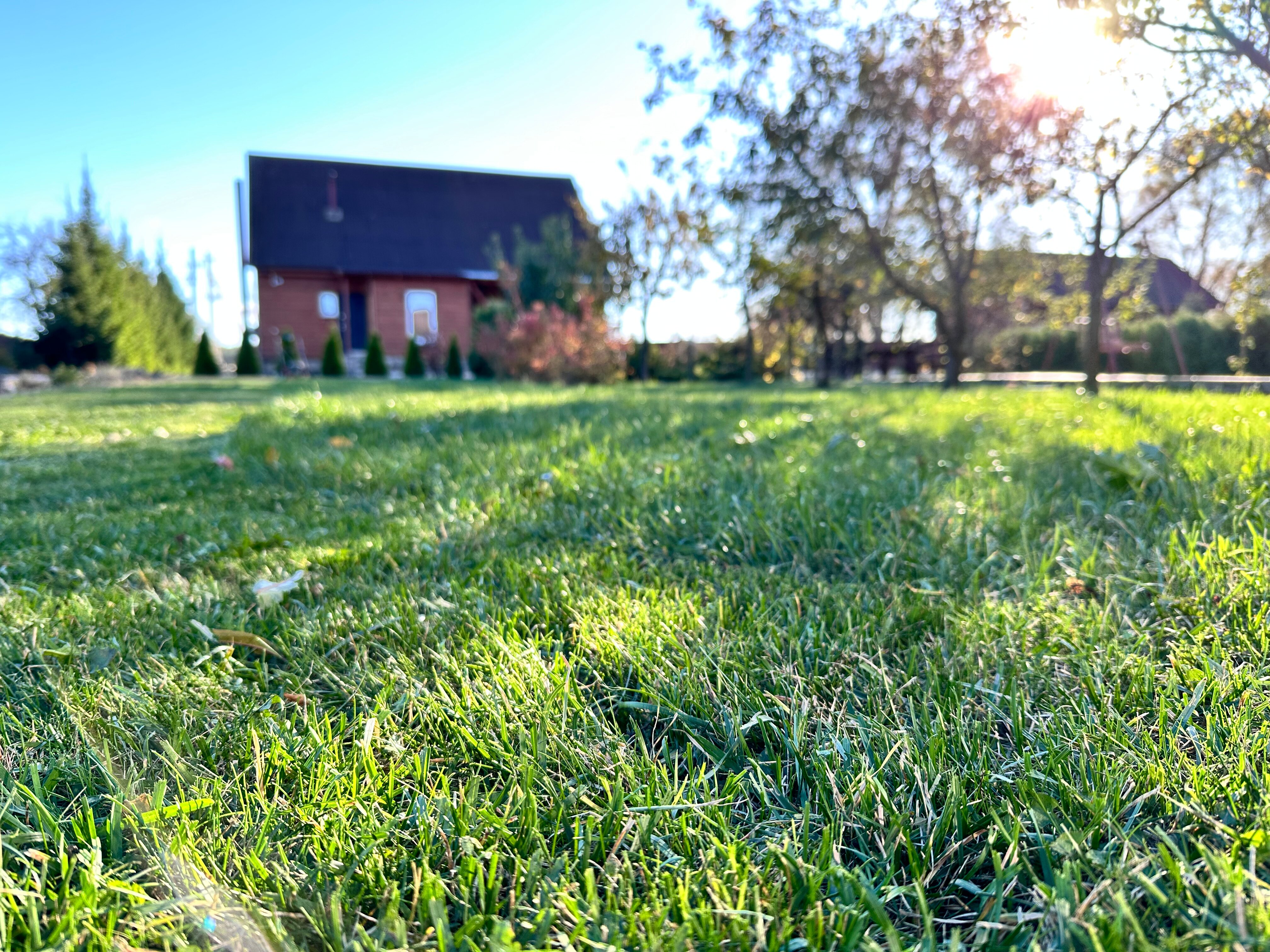 Фото Агроусадьба Мечта в Беловежской пуще