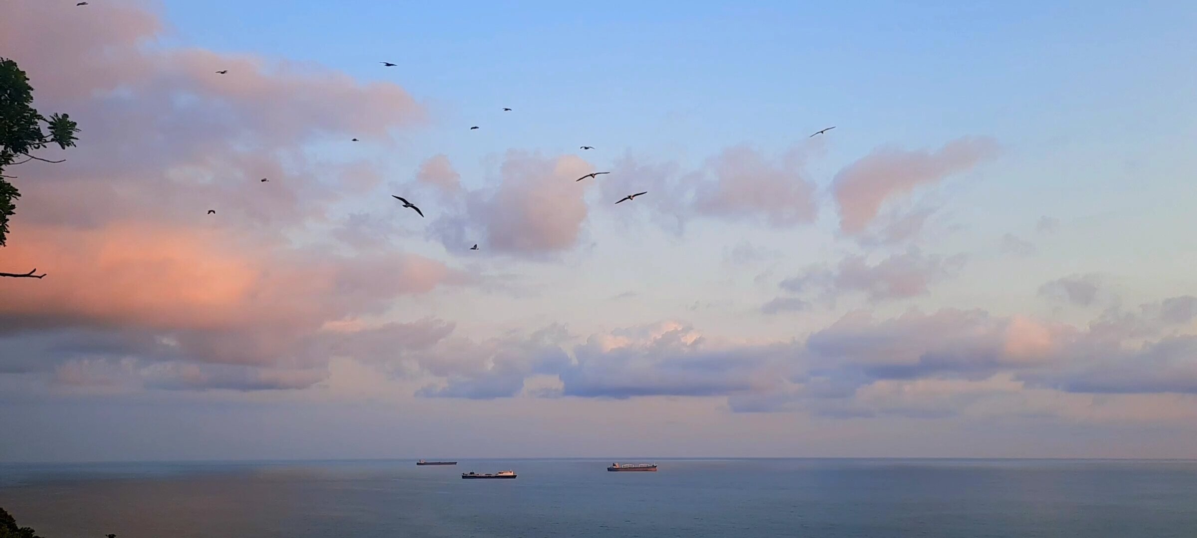 Фото Дубовая Роща