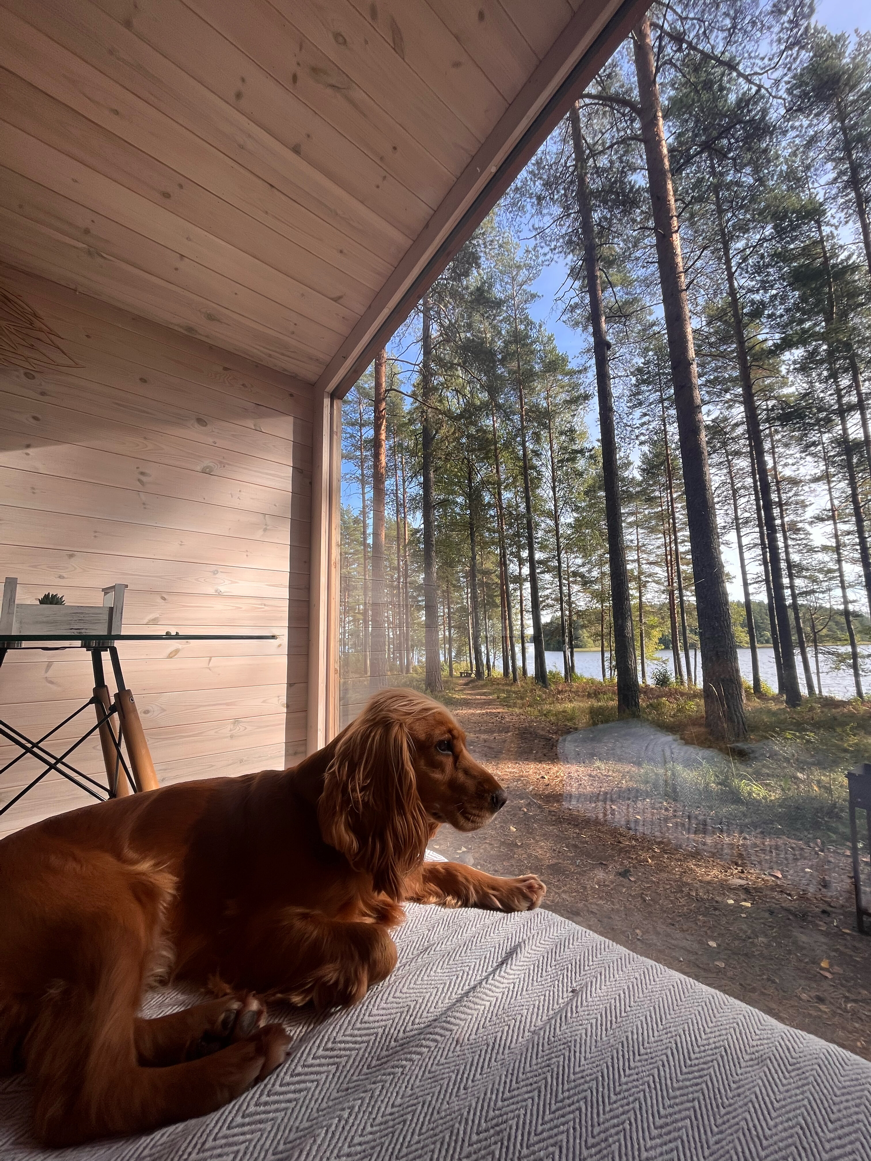 Фото Зеркальное СПА