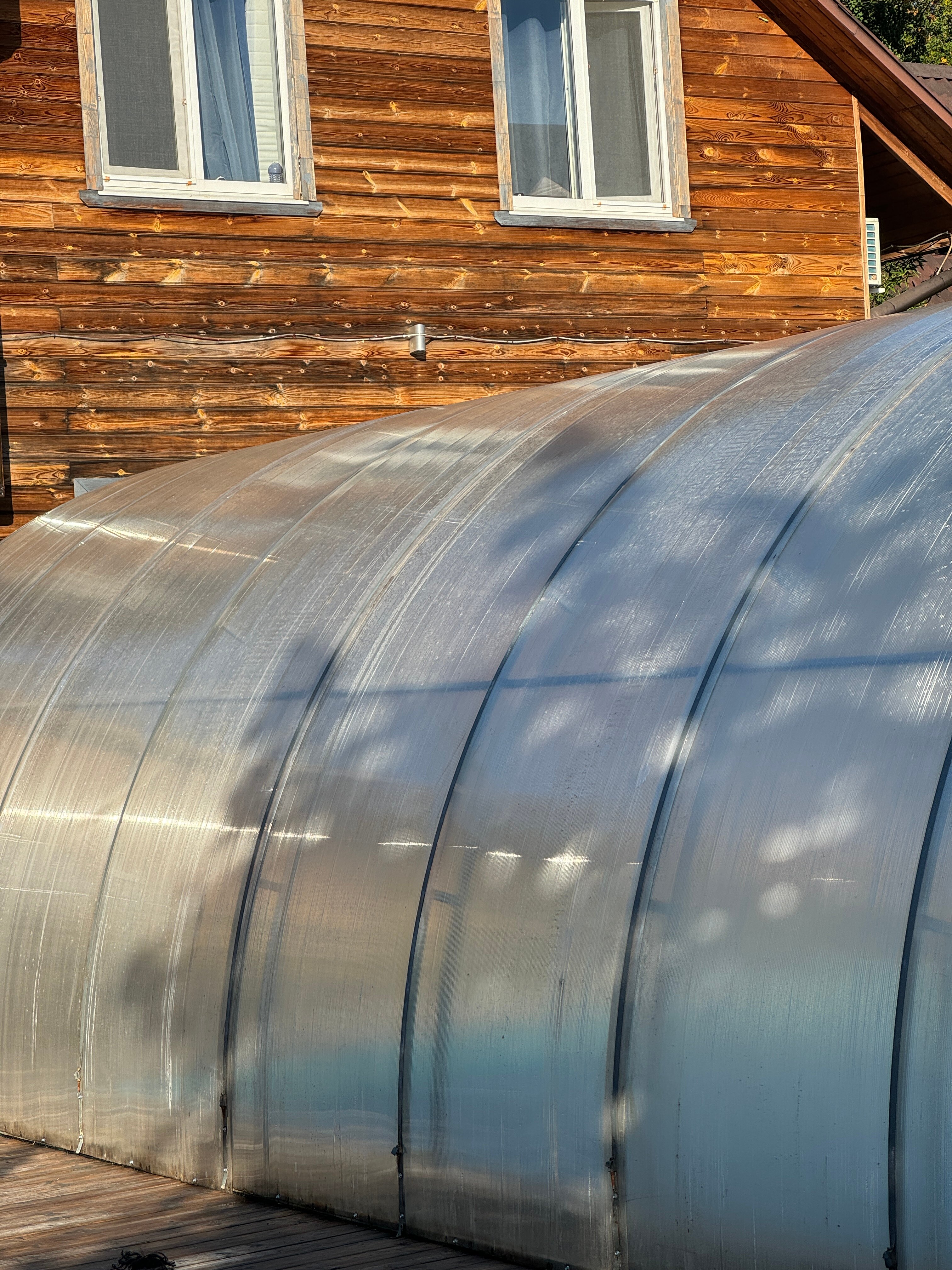 Фото Лесная поляна