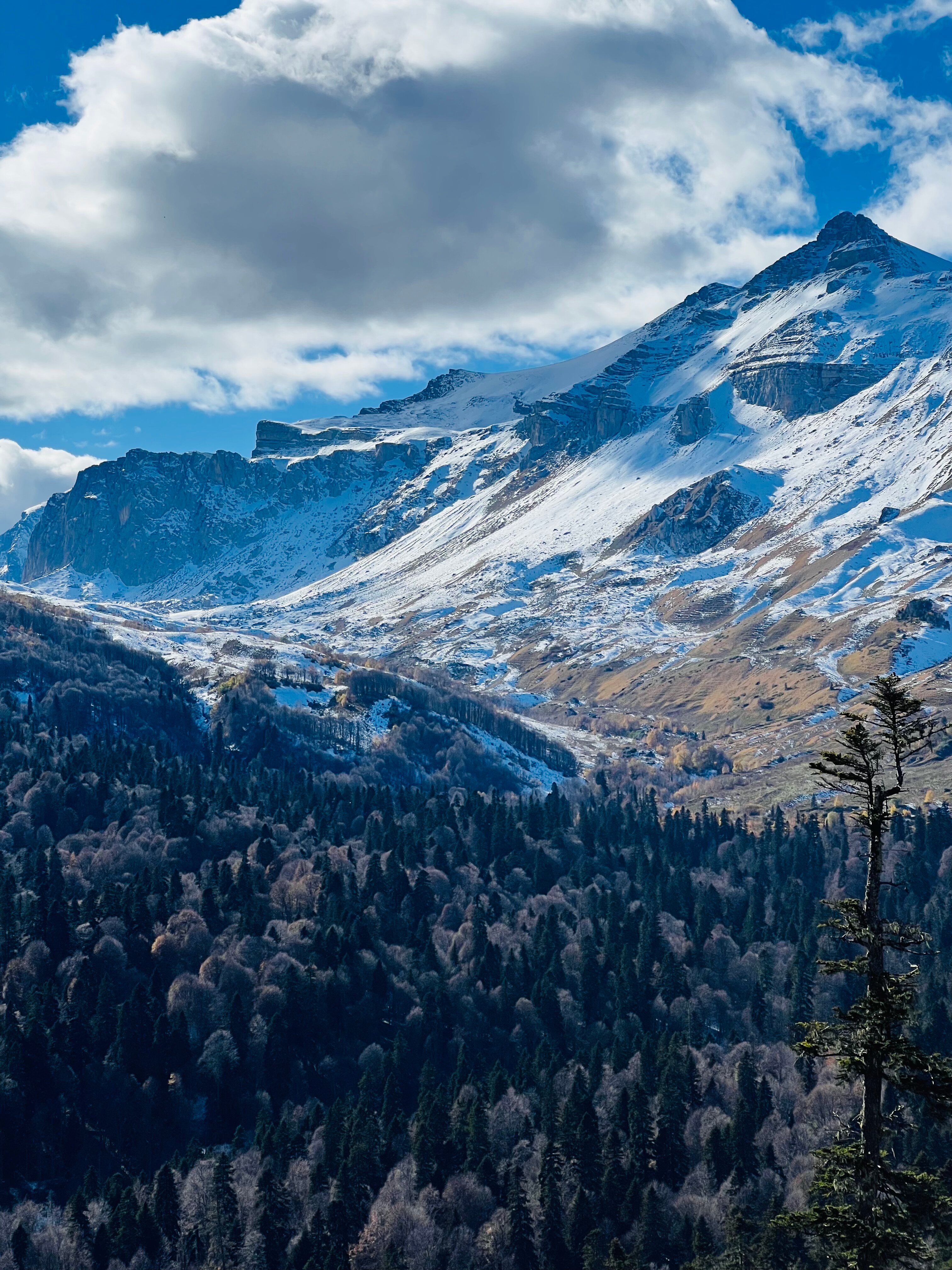 Фото У горы Любава+