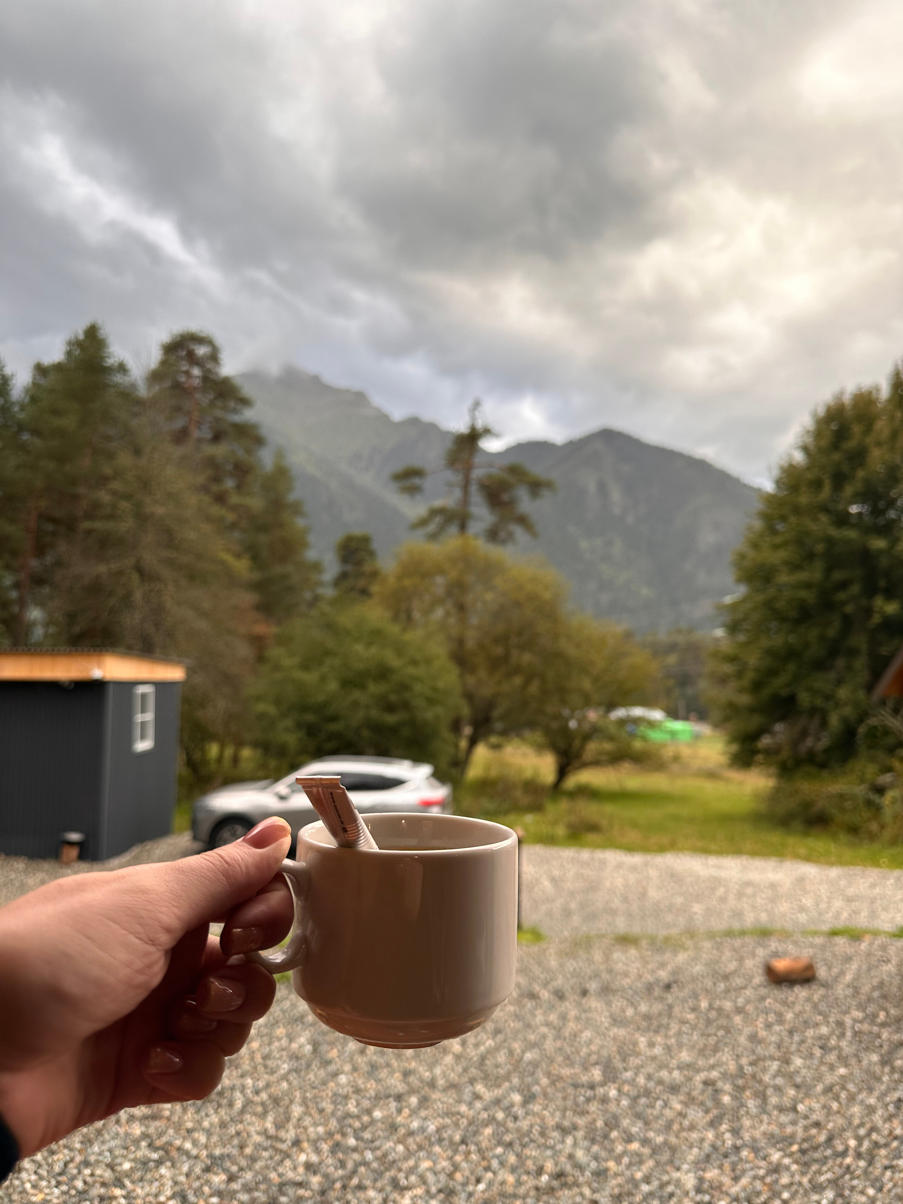 Фото Paradise Forest