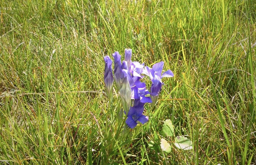 Фото Байкал-Кэмп