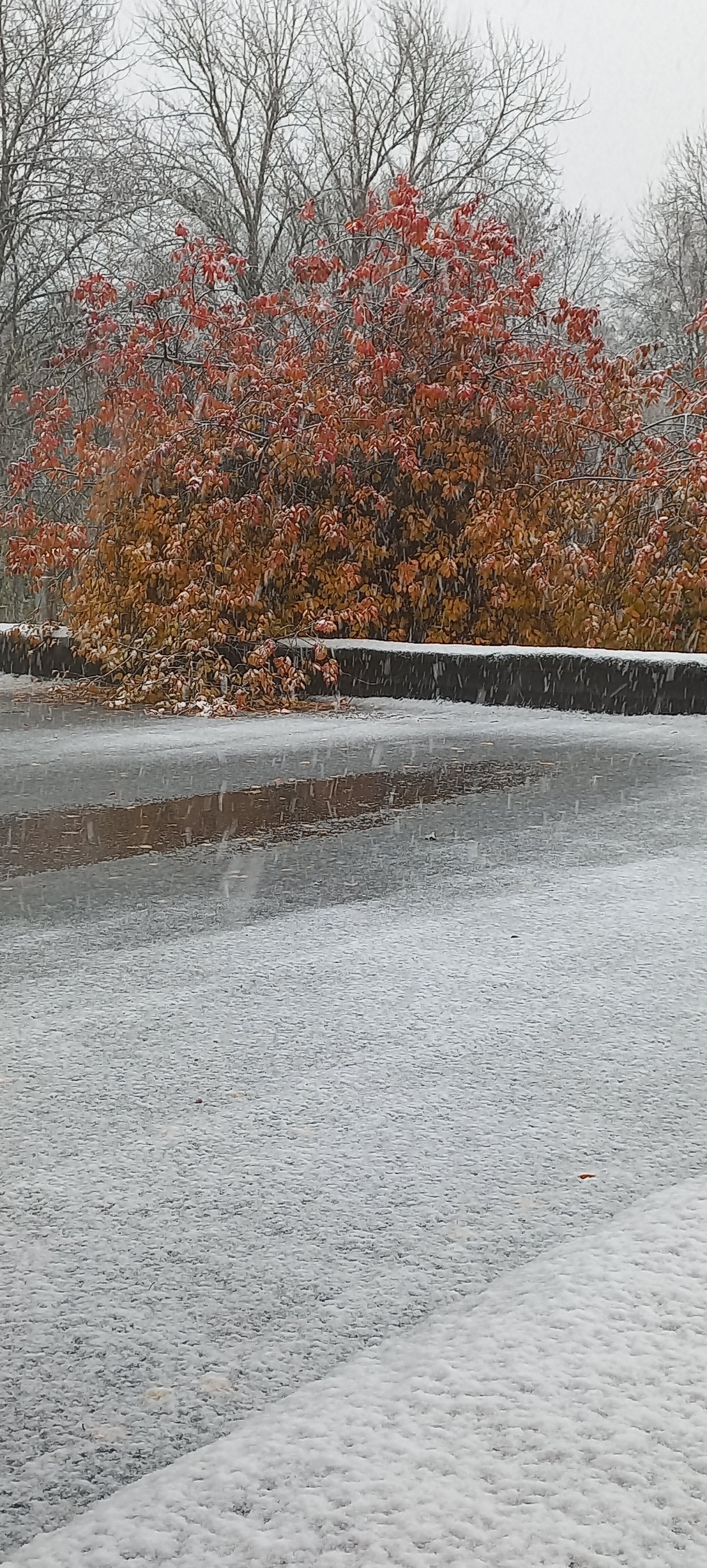 Фото Роза ветров