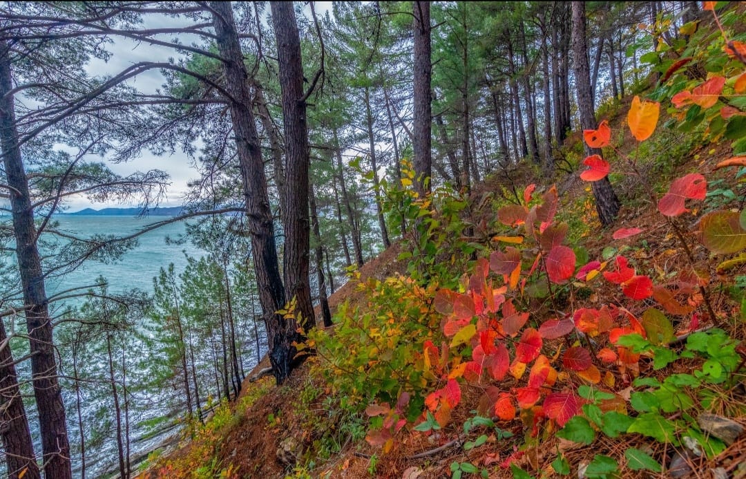 Фото Дом у моря