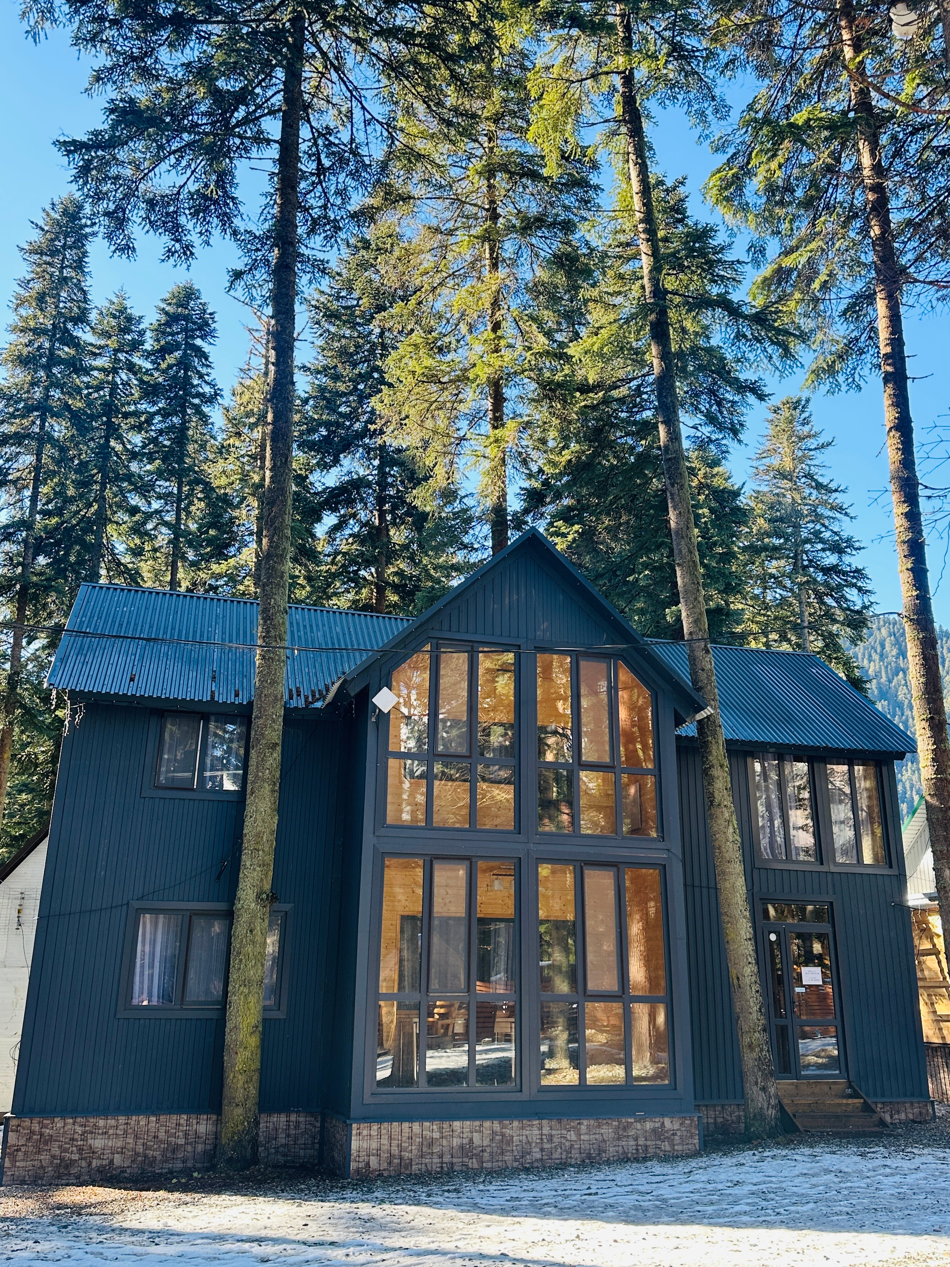 Фото Пихтовый парк