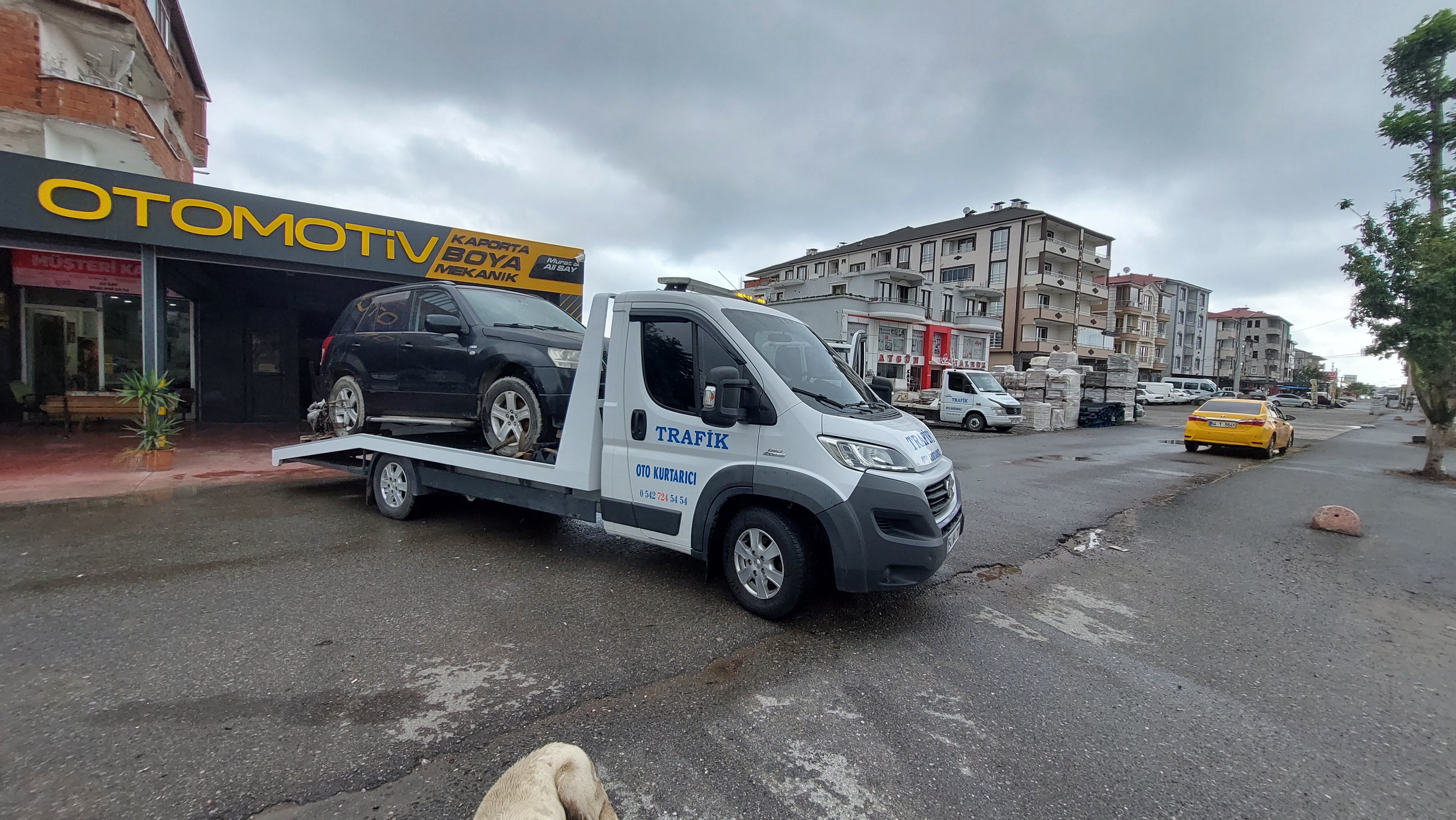 Yosh BBW jinsiy aloqa