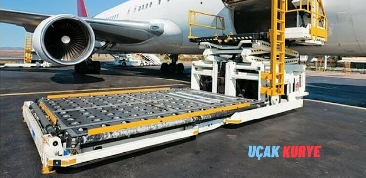 Logistics company Motto Logistic Express Kurye Ve, Izmir, photo