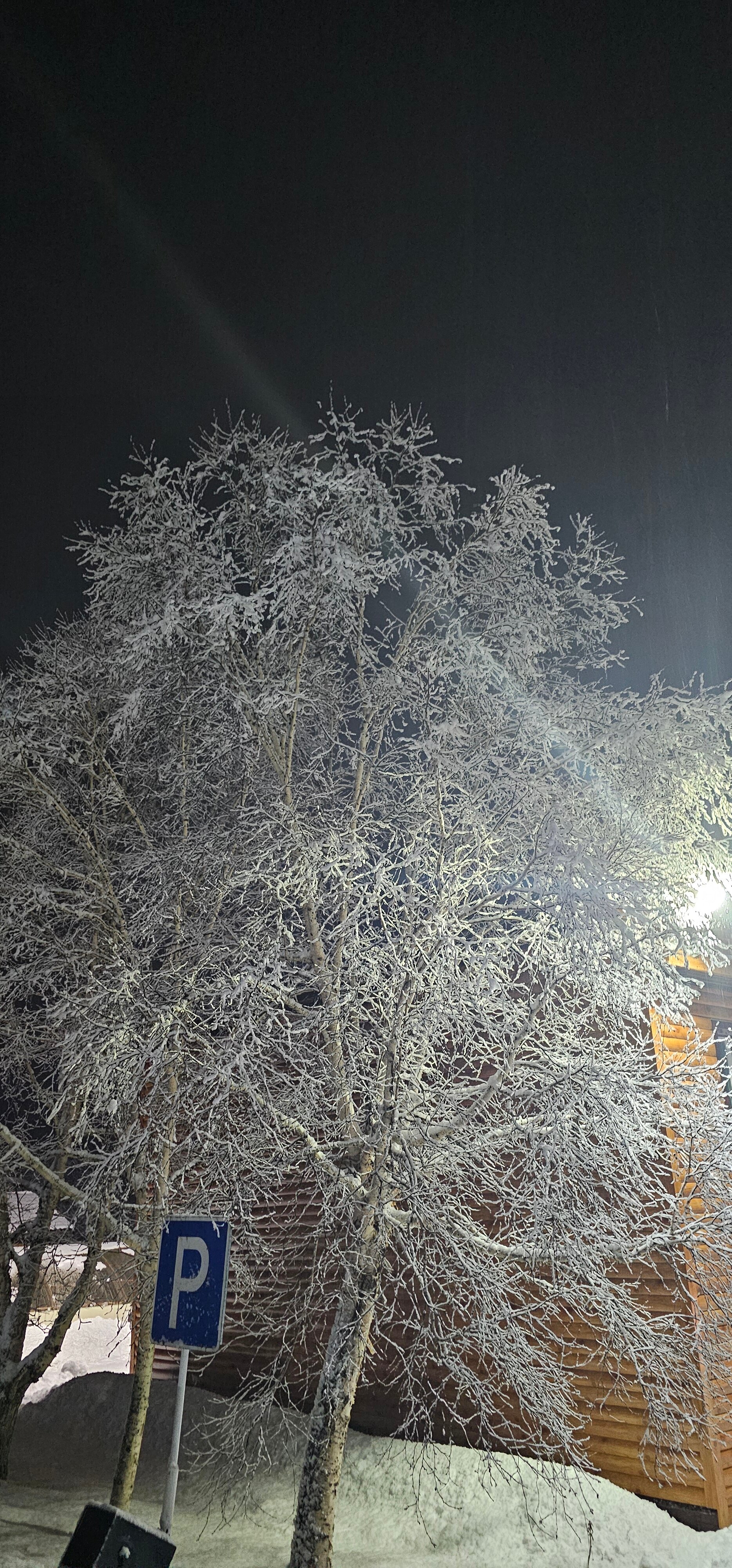 Фото Кречет