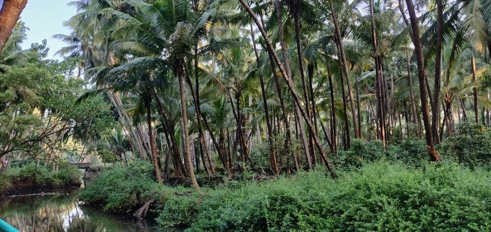 Фото Saturn Beach Cottage