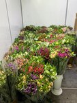 Цветочный доходный дом 1834г (Borovaya Street, 16/2), flower market