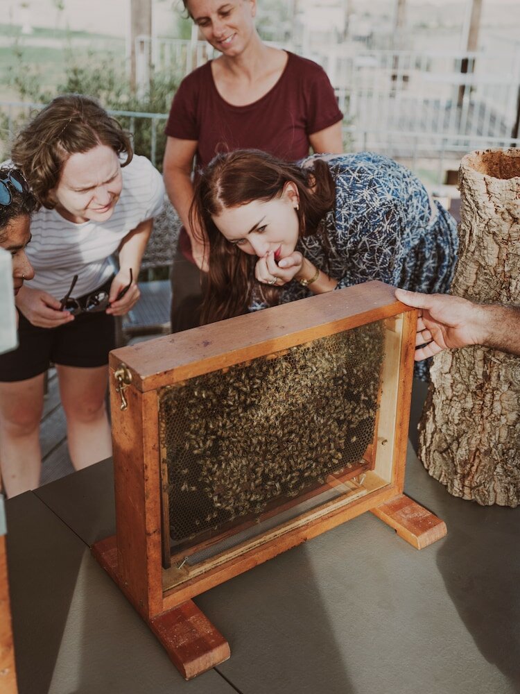 Фото Agriturismo Pelagaccio