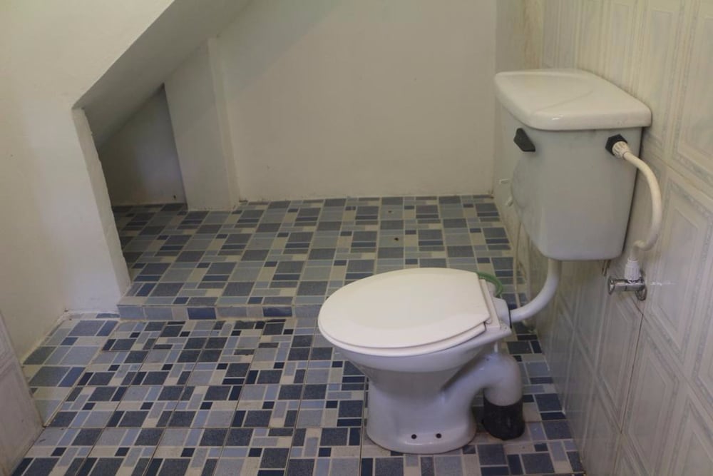 Фото Jungle Guest House