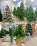 Elkirostov (Rostov-on-Don, Dovatora Street, 148) ، زينة وأشجار عيد الميلاد