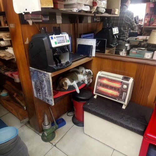 Çavdaroğlu Kuyumculuk Fotoğraf 3