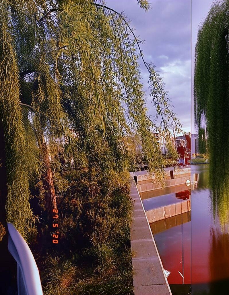 Park Batman National Garden, Batman, photo