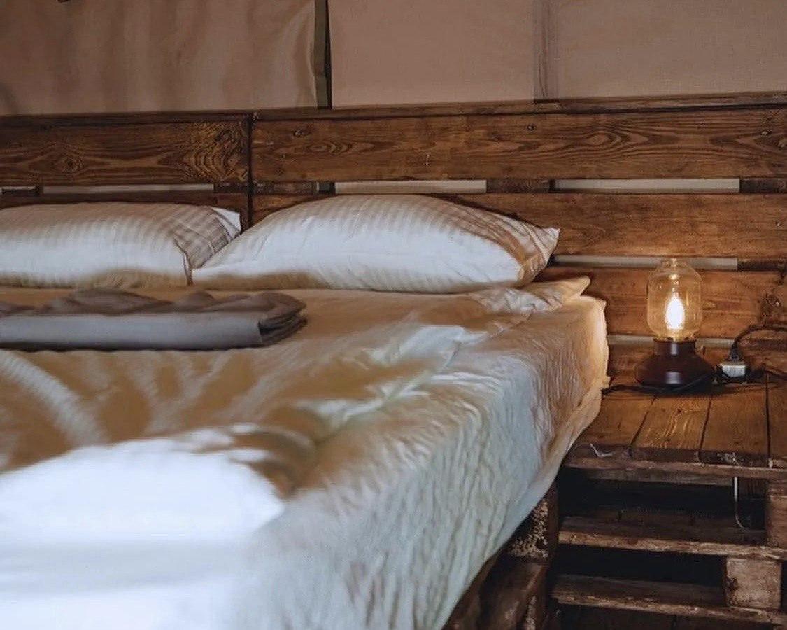 Фото Южный Вайб Древо