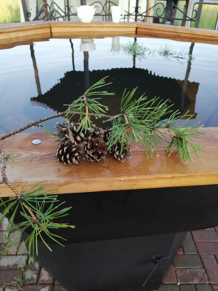 Фото Горыныч Хаус