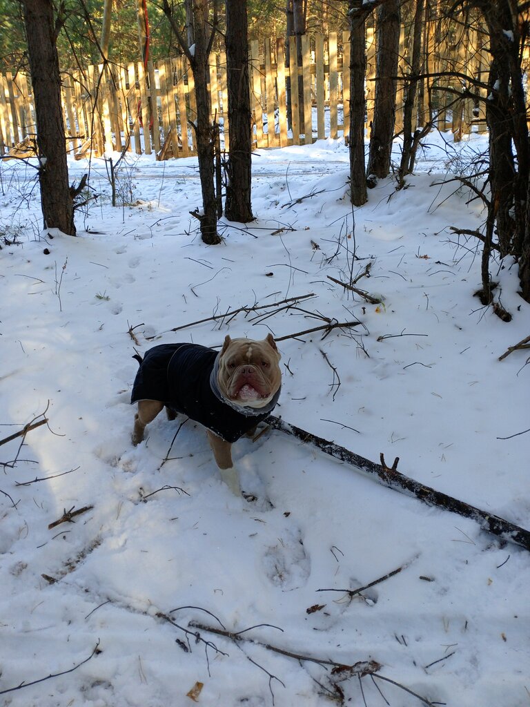 Mountain peak Гора Мохнательная, Sysert, photo