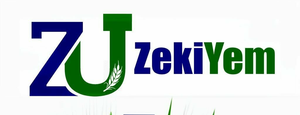 Industrial enterprise Zeki Grocery and Grain, Samsun, photo