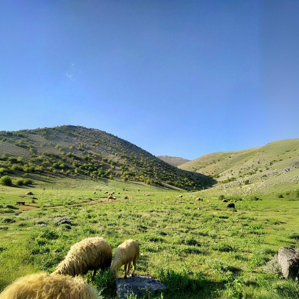 Primary school Güzelköy Primary School, Dogansehir, photo