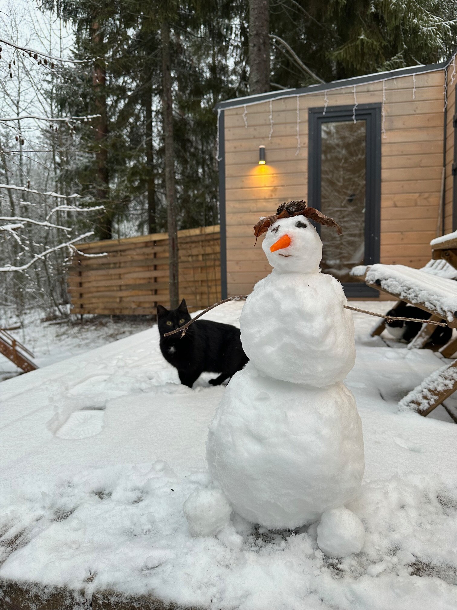 Фото 176623503752