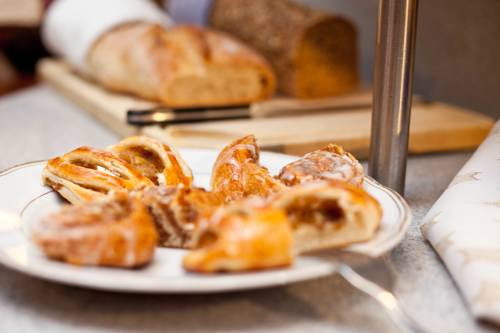 Фото Rosa Canina