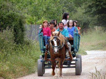 Фото Lefkoritis Resort