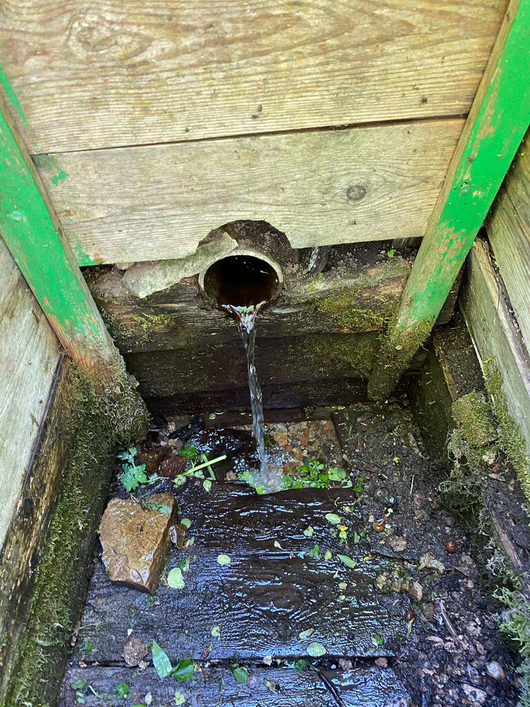 Spring, stream Святые глазные источники, Pskov Oblast, photo