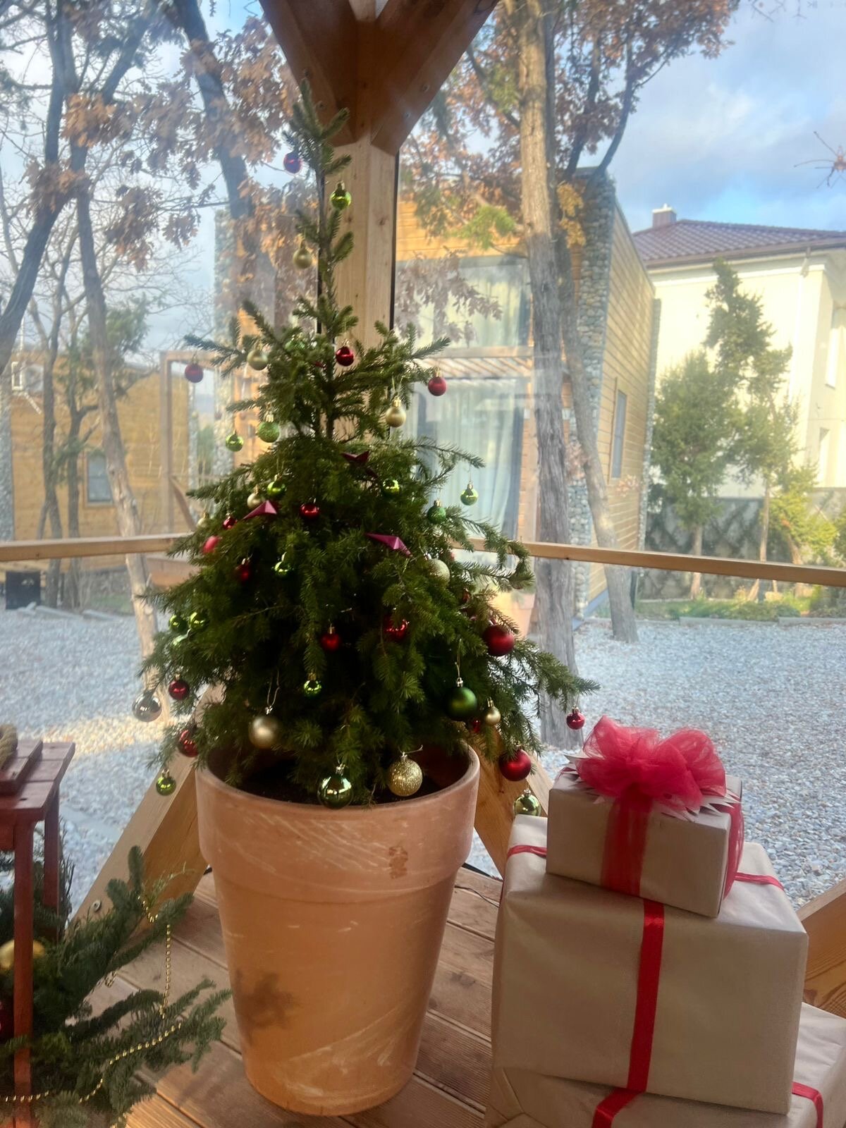 Фото Гарден Оз