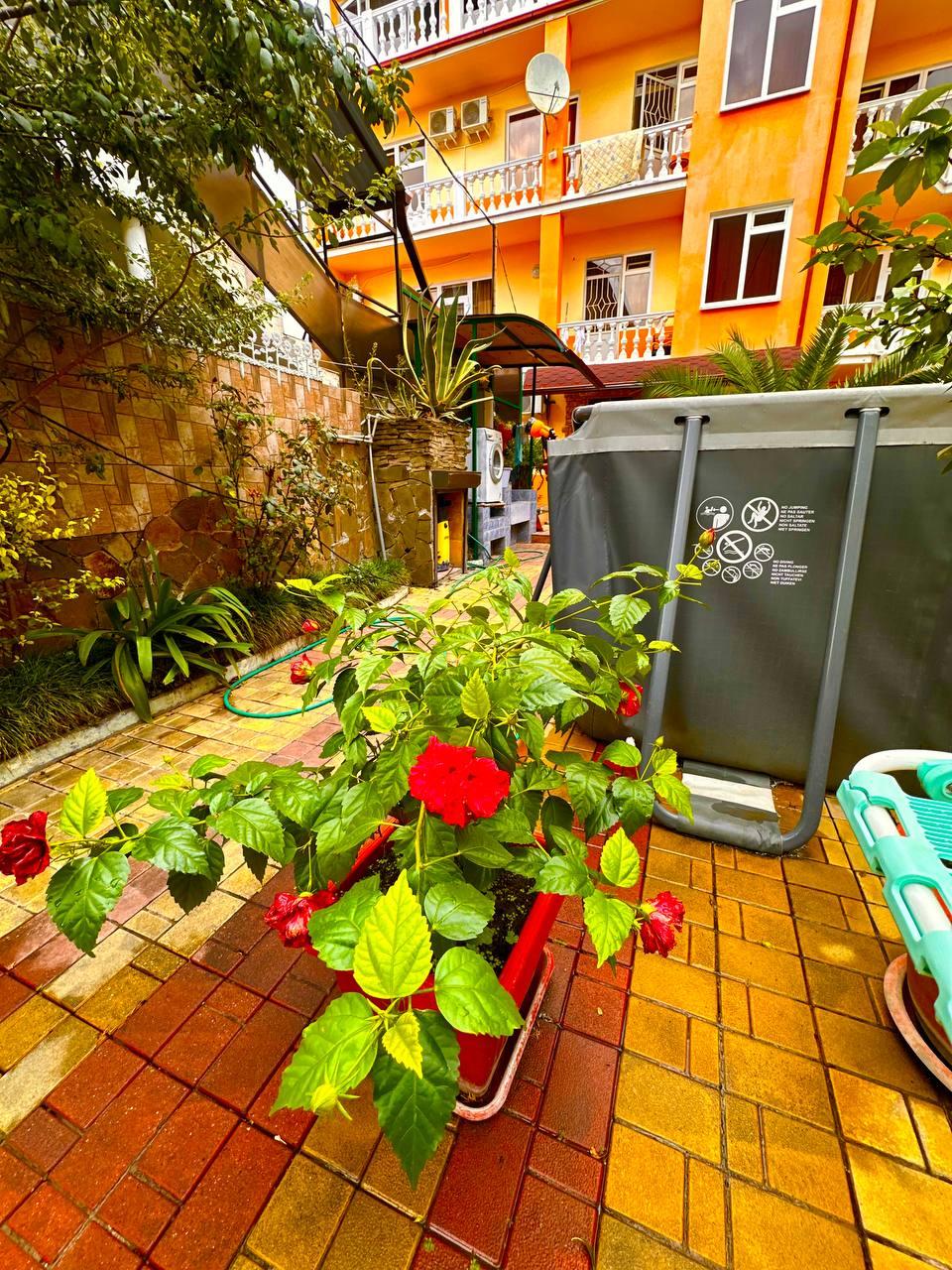 Фото Белый парус